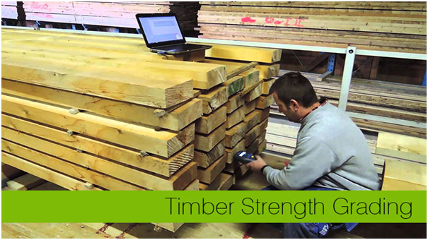 Quality Timber Strength Grading: A prediction of strength using scanned surface grain data and FE-analyses